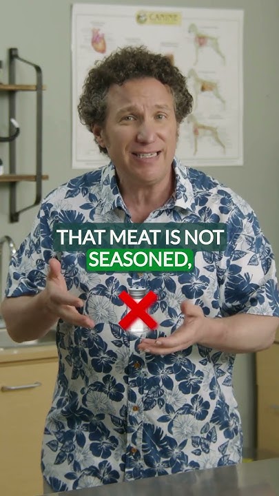 is-raw-meat-good-for-dogs-what-you-should-know-youtube