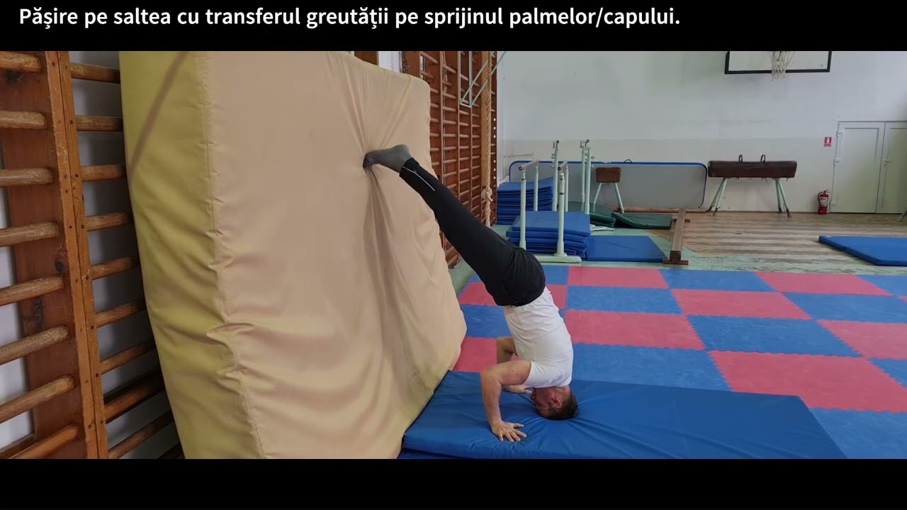 STAND PE CAP DIN GHEMUIT- Succesiune metodică.