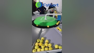 Mini apple grading machine,apple sorting sizing and grading line,fruit processing machinery