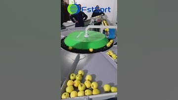 Mini apple grading machine,apple sorting sizing and grading line,fruit processing machinery
