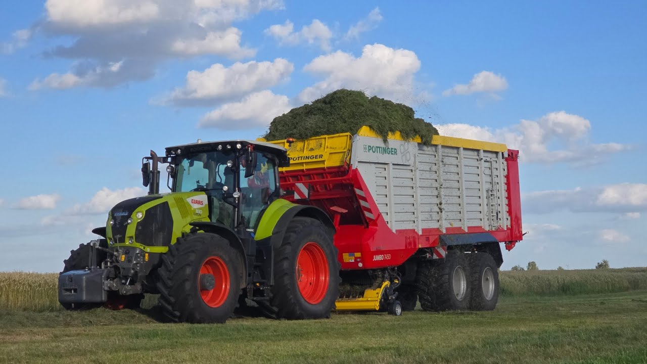 ⭐️🇵🇱 Drugi Pokos Z Claas'ami 🍀 2025 | W AKCJI Claas Axion & Zetor Fortera