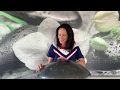 Yemaya Assesu caribian handpan vibes