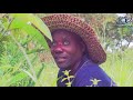 Ugambona Zenee Comedy Ona Gisi Anamudanganya Comanda Eti Anakamata Kandege Kumbe Ni Ugambona Zenee Comedy Ona Gisi Anamudanganya Comanda Eti Anakamata Kandege Kumbe Ni