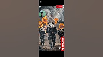 When a panda becomes the ultimate warrior on horseback!