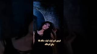 نجوى كرم كيف كيف حالك انا جاي كرمالك #اغاني #الامارات #foryou #السعودية #الكويت #تركماني screenshot 4