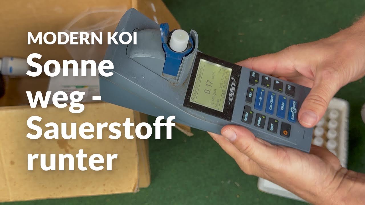 Eine Wasseranalyse an Gerds 30.000l Koiteich | Modern Koi Blog #8142