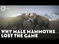 Why Male Mammoths Lost the Game (w/ TierZoo!)