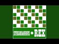 Stegosaurus Rex Chords