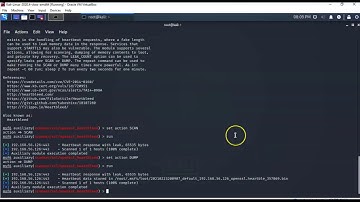 Heartbleed OpenSSL Exploit Vulnerability