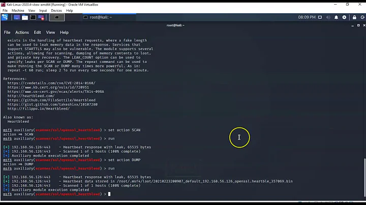 Heartbleed OpenSSL Exploit Vulnerability