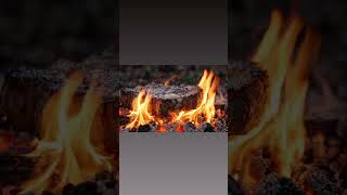 No copyright footage ASMR steak with fat dripping into fire