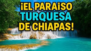 Cascadas de Agua Azul Chiapas: El Paraíso Turquesa que Debes Visitar en México