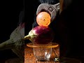 1000°C Iron Ball Eggplant 🍆 #aishorts #trendingshorts #shorts #shortsfeed