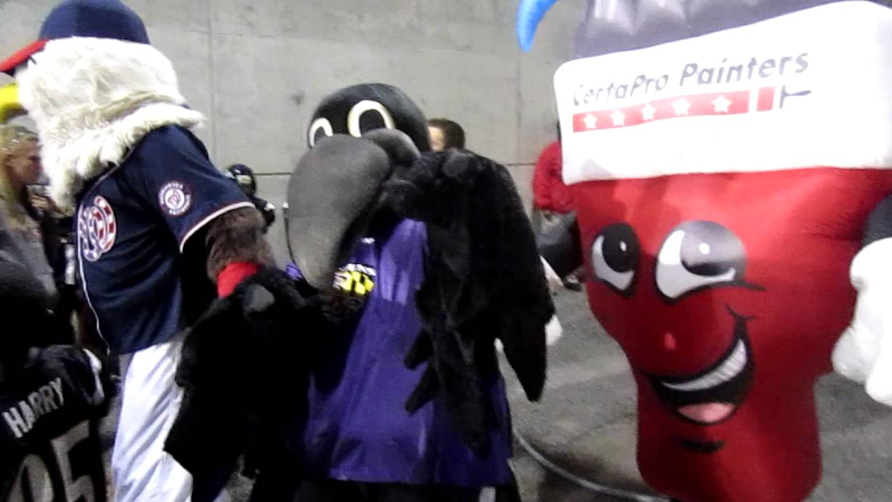 Screech, Bristles & Poe at Towson University Mascot Mingle