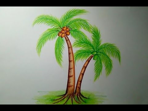 How to draw Coconut tree วาดรูปต้นมะพร้าวง่ายๆ