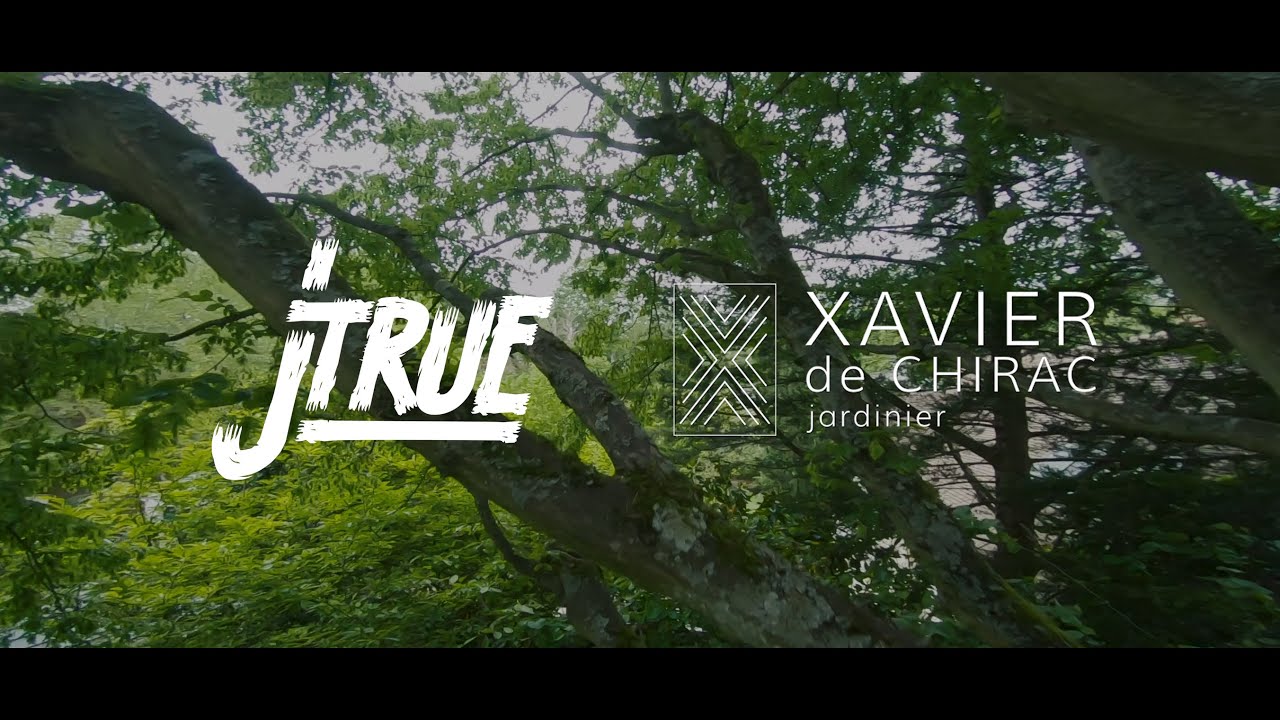 Cinematic - Garden made by Xavier de Chirac
