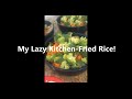 &quot;My Lazy Kitchen&quot; - Fried Rice! (Episode... 1?)