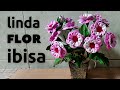 Aprenda fazer essa linda flor ibisa de eva