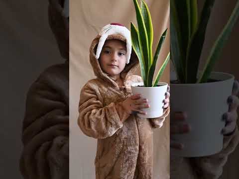 A Young Girl Holding a Potted Plants # short