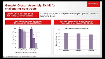 Webinar – Fast and reliable gene synthesis for optimized protein expression