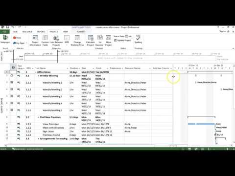 MS Project 2013 - Resource Levelling, Baseline, Cost/Reports