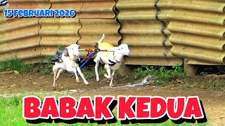 SECOND ROUND OF GOAT RACE, FEBRUARY 15, 2026