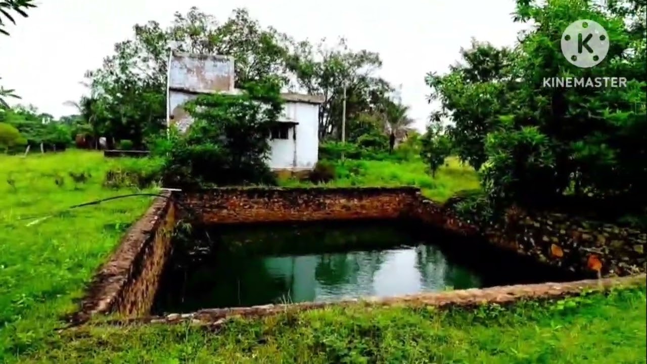 தூத்துக்குடி ஸ்ரீவைகுண்டம் நாசரேத் அருகில் 75 ஏக்கர் பண்ணைநிலம் விற்பனைக்குஉள்ளது 1 ஏக்கர் 14 லட்சம்