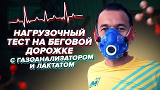 Определяю пульсовые зоны и МПК после марафона. Функциональный тест с газоанализом и лактатом  | Влог