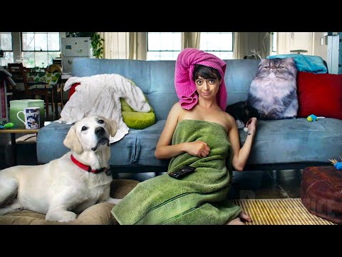 PET LOVER
