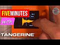 Five minutes with  the tiny 1010music tangerine sampler