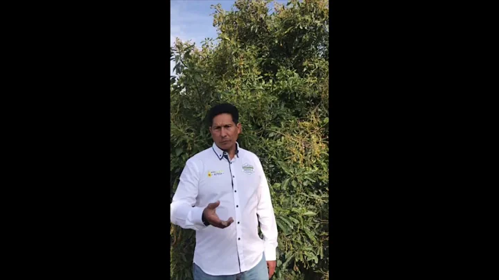 Meet Nature & More grower Rogelio Salas from Aguac...