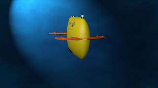 Introduction to the AUV Sentry