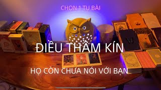 ĐIÊÙ THẦM KÍN MÀ HỌ CÒN CHƯA NÓI VỚI BẠN 💜 Kitoàn Tarot Channel