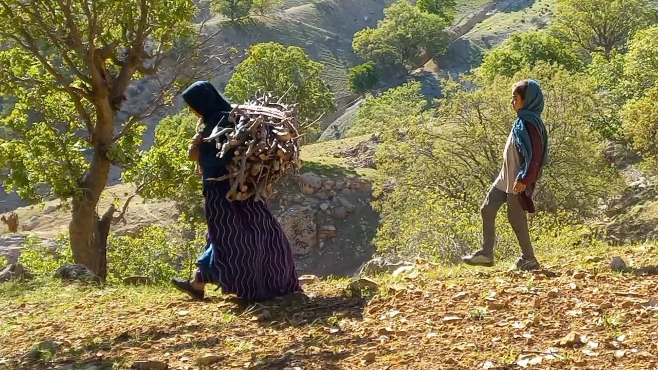 Going to firewood for a fire in the mountains by a nomadic family of ...