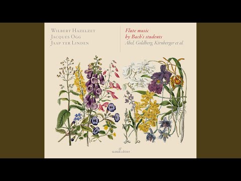 Flute Sonata in D Major: III. Cantabile