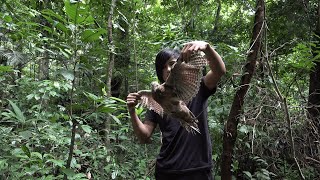 Strange bird caught in a trap - 2 years of survival in the rainforest - episode 25