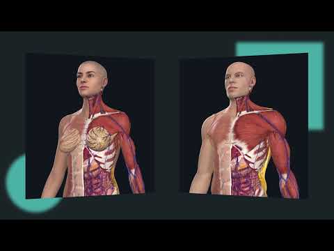 essential anatomy 3 zoomout essential anatomy 3 zoomout