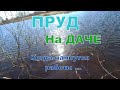 Пруд на даче /в деревне. Поймал ротана в вершу. Переехали семьей в деревню на лето. Свой пруд.