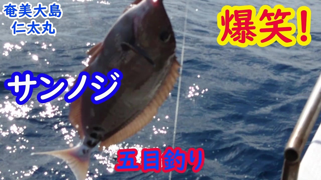 頑張れ やまとそん 特産品のために加工場を安く