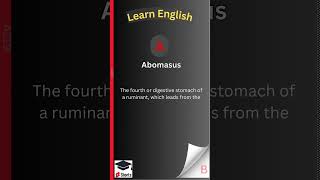 Abomasus Learn English LearnnglishEnglishwordsEasyenglisheasyenglishenglishlearning