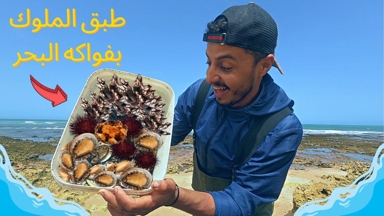 جمع أغلى فواكه البحر التي يجهلها الكثير ولايعرفون قيمتها الغذائية