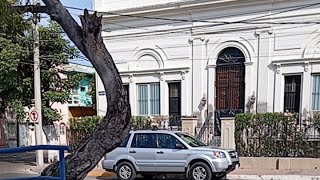 Pulpo De Mazatlán Está En Vivo