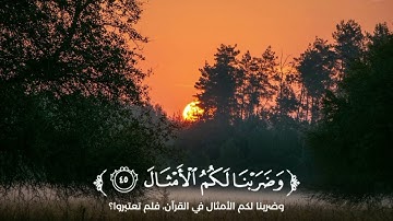 تلاوة من سورة إبراهيم - القارئ محمد الوكيل #القرآن_الكريم 🤍