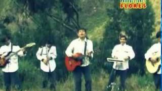 Video thumbnail of "Musica Ayacuchana  Yuracc Marka / Las Avecillas del Campo /"