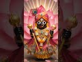 जय जगन्नाथ | जगन्नाथ भगवान की महिमा | Jagannath Bhagwan Bhakti Video
