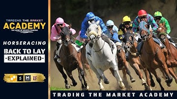 Back To Lay Explained