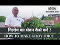 Giloy - गिलोय का सेवन कैसे करे ? | How to Make Giloy Juice | गिलोय काढ़ा कैसे बनाएं | Giloy ka kadha