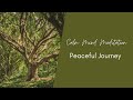 Calm Mind Meditation: Peaceful Journey