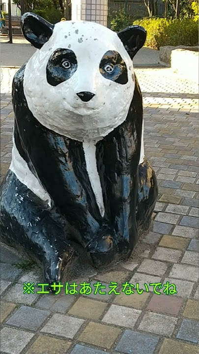 【パンダがいる❗️❗️】葛西 桑川公園