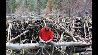 NEW FINDING: Beavers that STOP WORKING on SATURDAYS